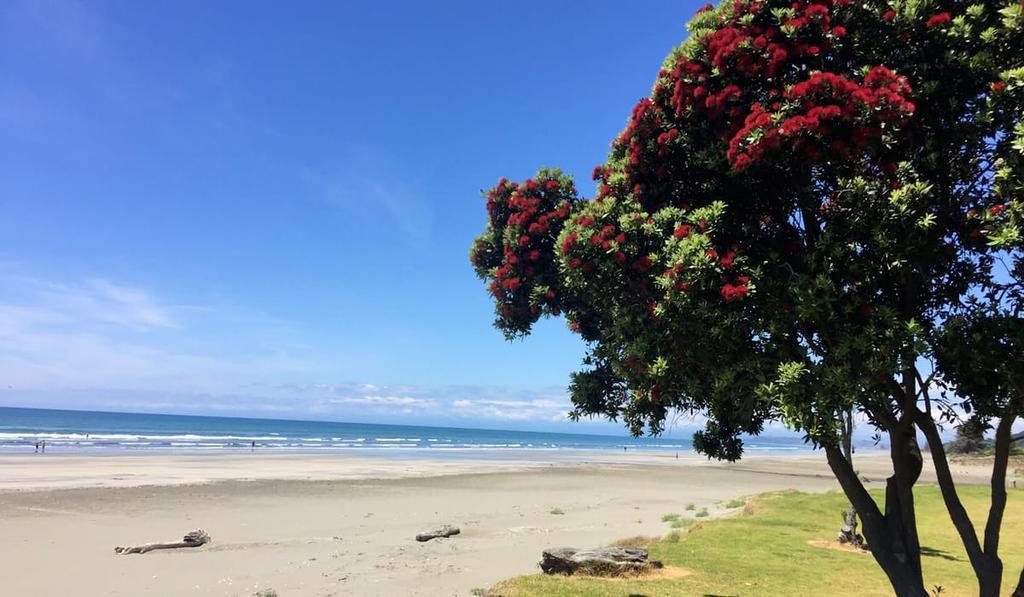 Whakatane Hotel Extérieur photo