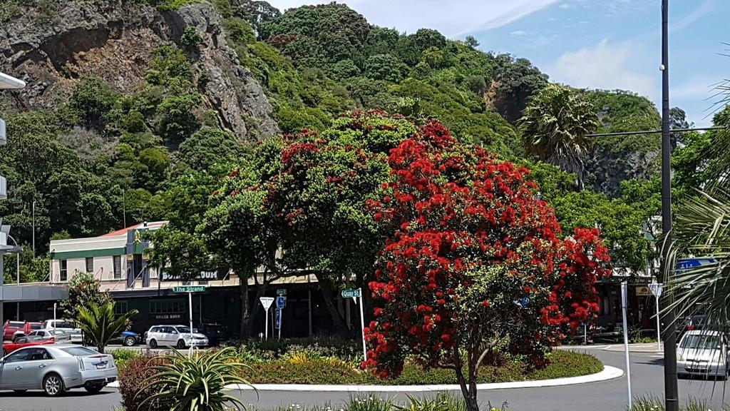Whakatane Hotel Extérieur photo